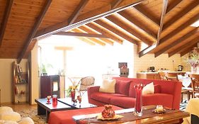 Soffitta House Sofi!
